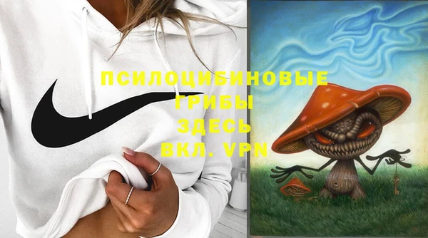 героин Ельня